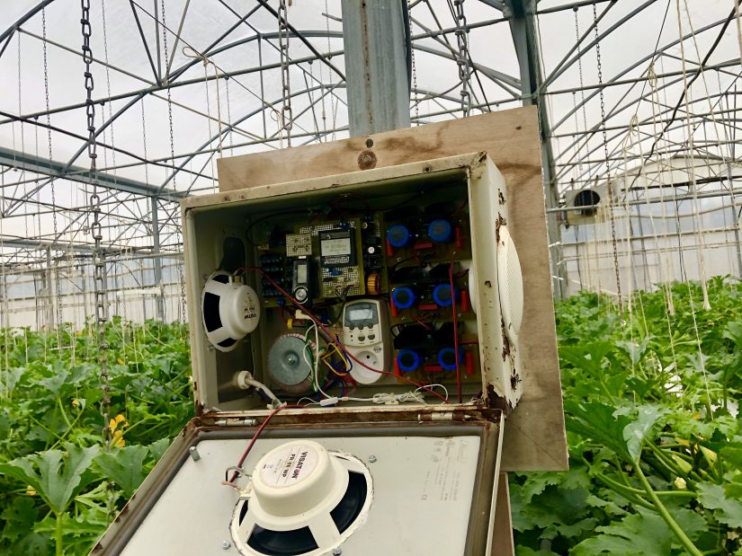 boitier-musique-agriculture