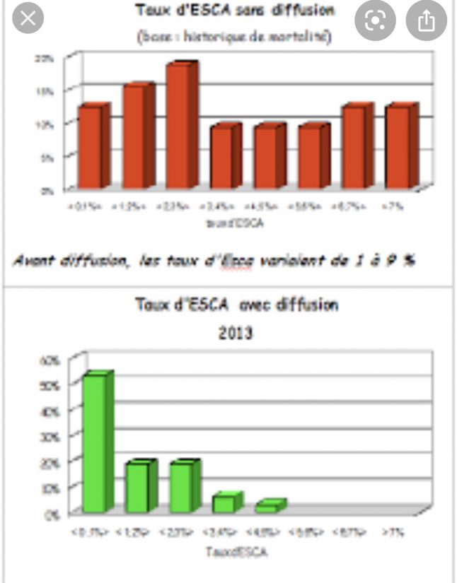 Des courgettes soignées avec de la musique 4