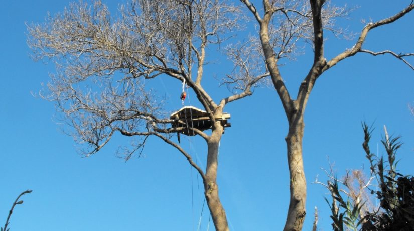 nid-cigogne-parc-poudrerie-provence