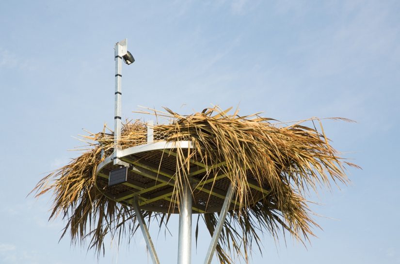 nid-plateforme-cigogne-istres