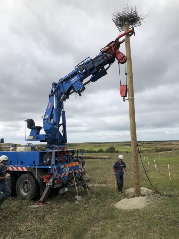 installation-plateforme-nid-cigogne