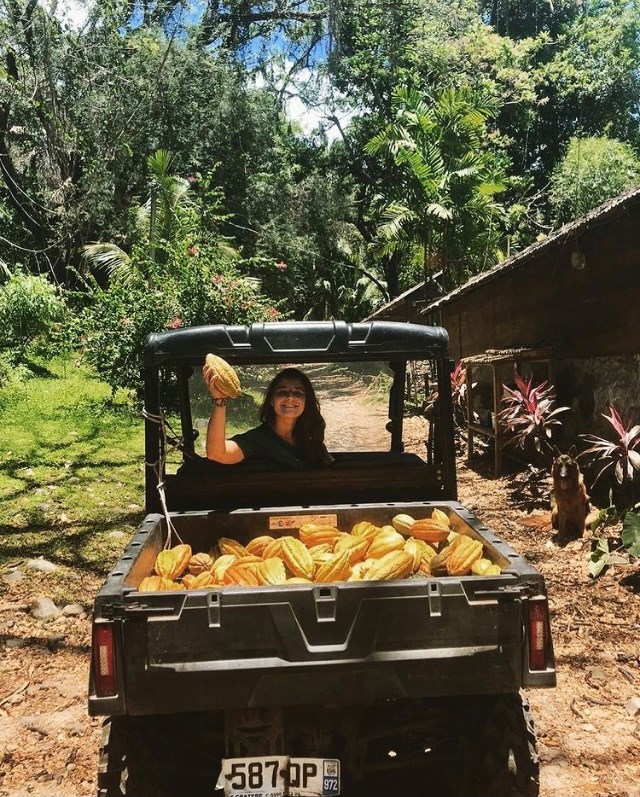 Julie agricultrice cacao