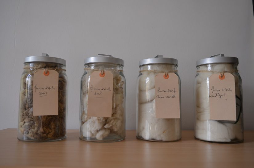 @Maison de la transhumance. Tonte d'un Mérinos d'Arles