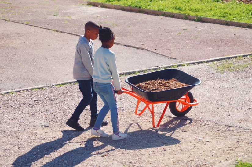 Des potagers dans les cités 3