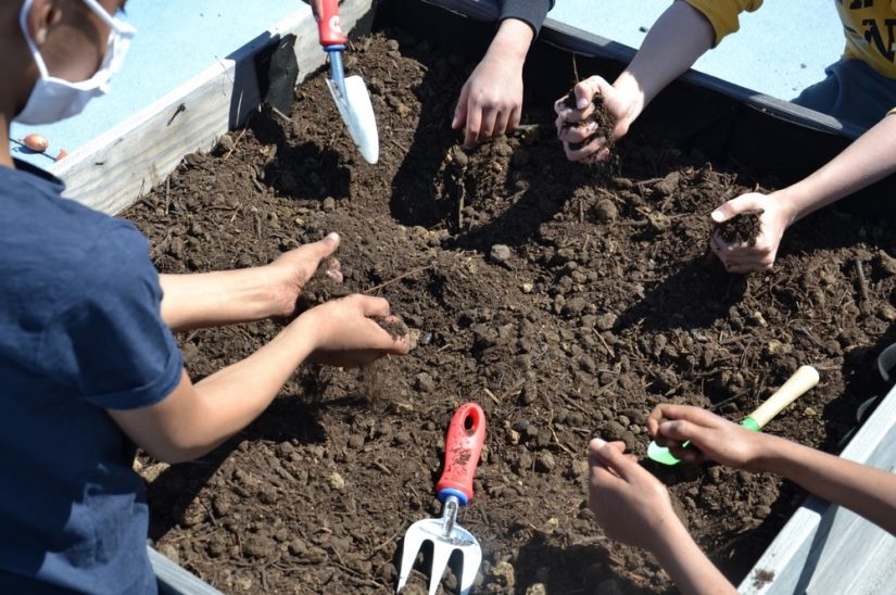 atelier-potager-ecole-enfant