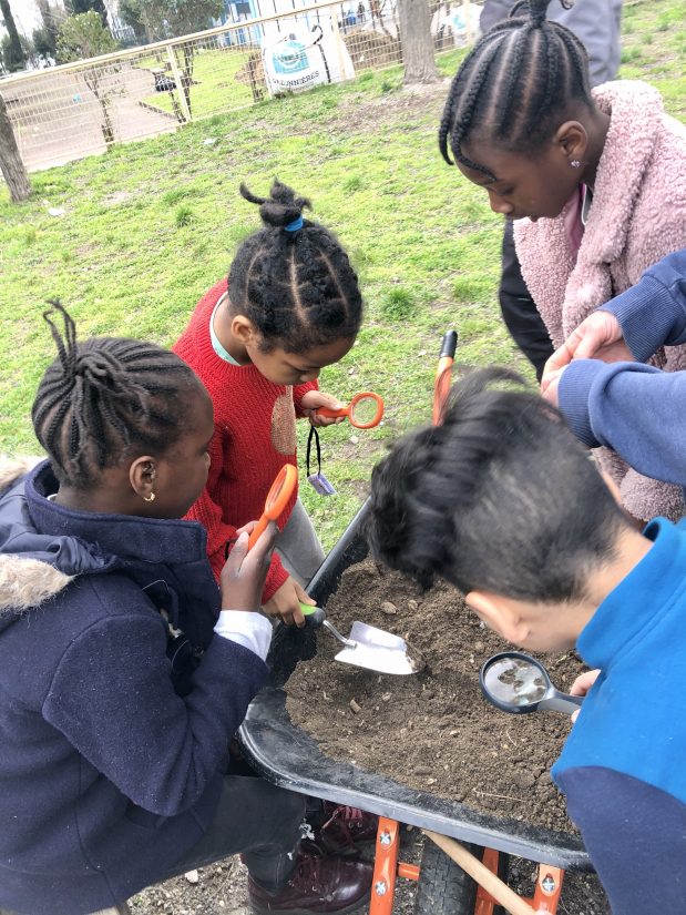 Des potagers dans les cités 6