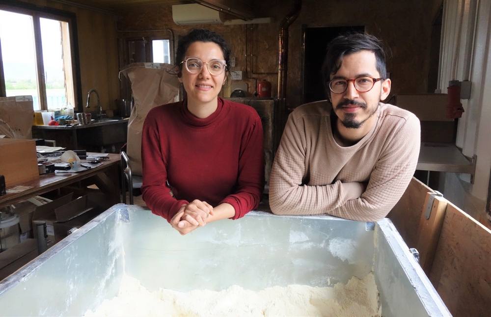 ferme-pastiere-pate-provence