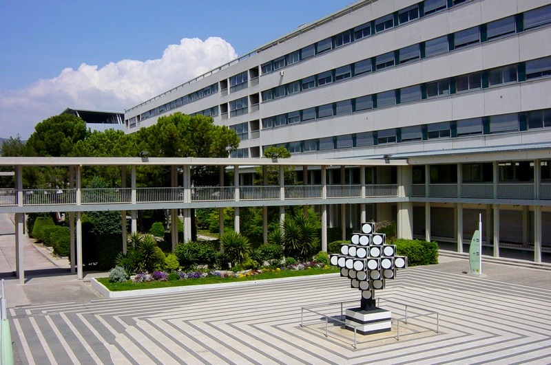 Haro sur le bitume dans les facs et les écoles 1