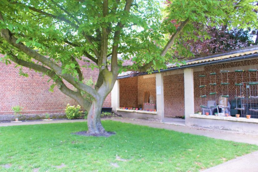 Des étudiants en Ehpad ? Et pourquoi pas !