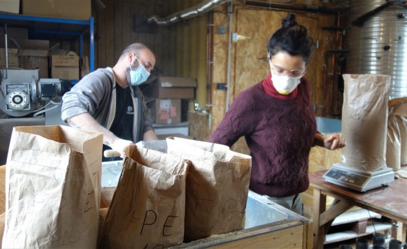 production-farine-ble-pate