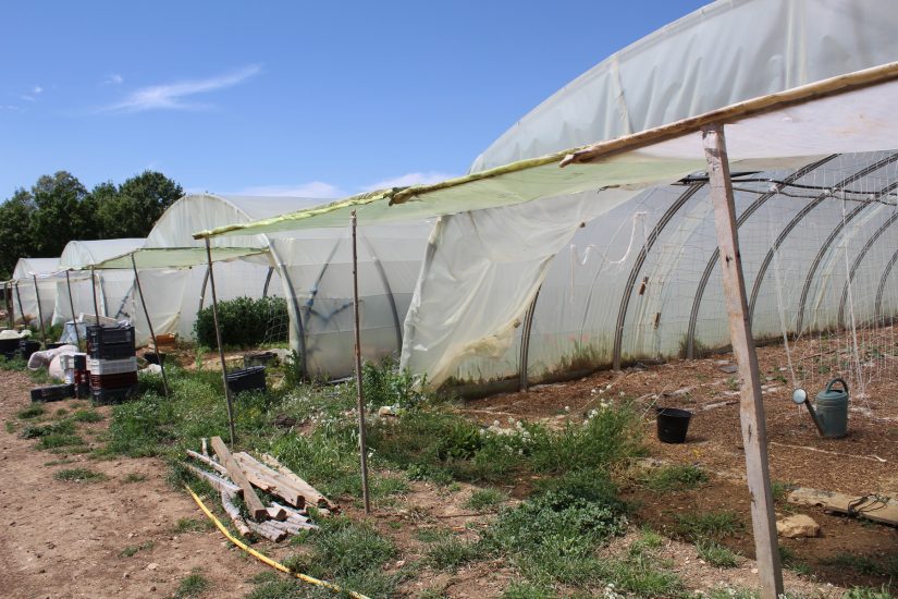 domaine-violaine-venelles