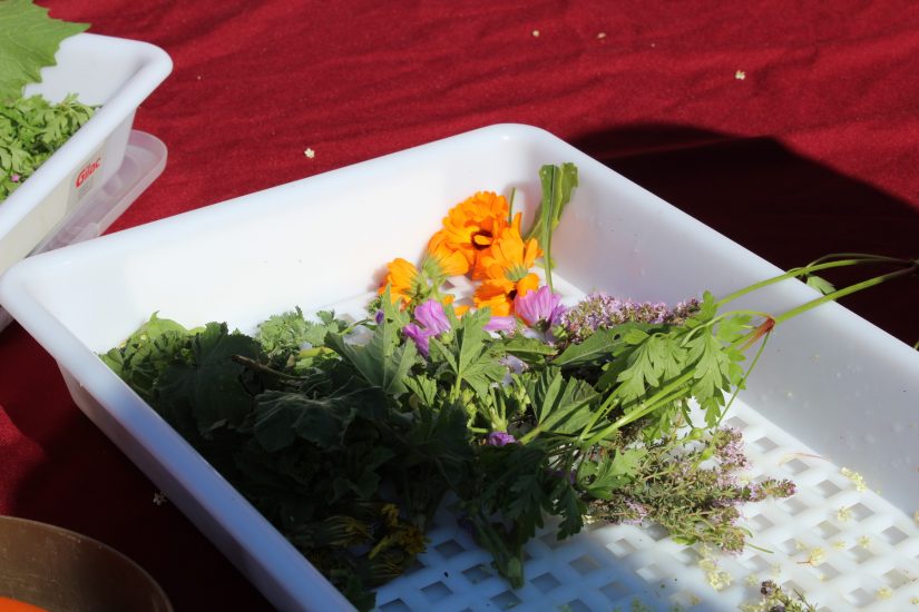 Quand la ferme s’ouvre au monde extérieur 1