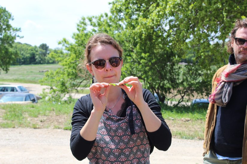 pauline-ecole-buissoniere