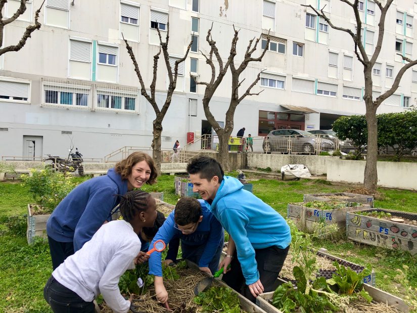 Des potagers dans les cités 1