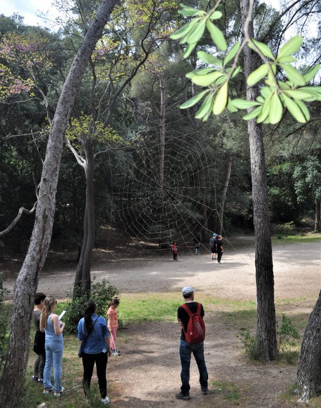 parc-marseille-pastre-campagne-landart