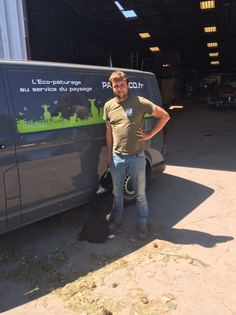 Dans la métropole lilloise, des moutons pour remplacer la tondeuse à moteur 1