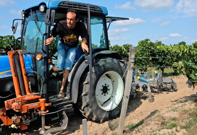 Gabriel & Co, premier acteur viticole en France labellisé Fair for Life 3