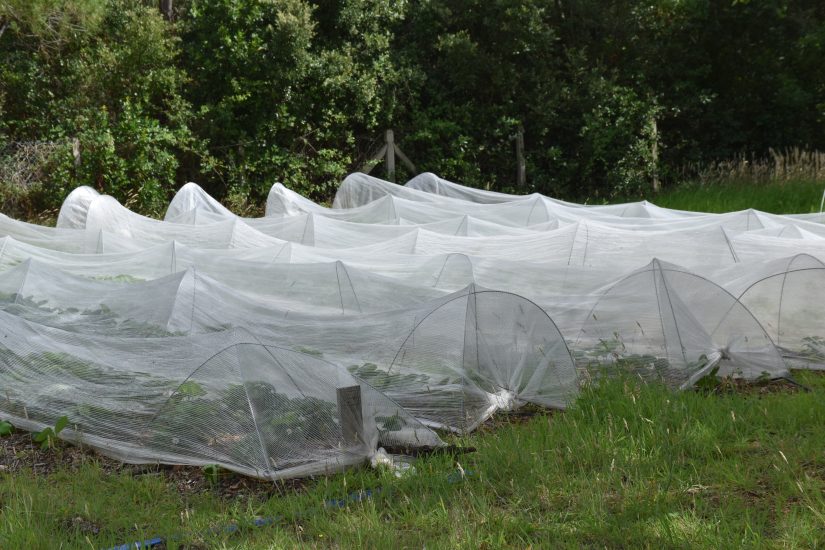 Aix-traordinaire jardin de Mon trésor