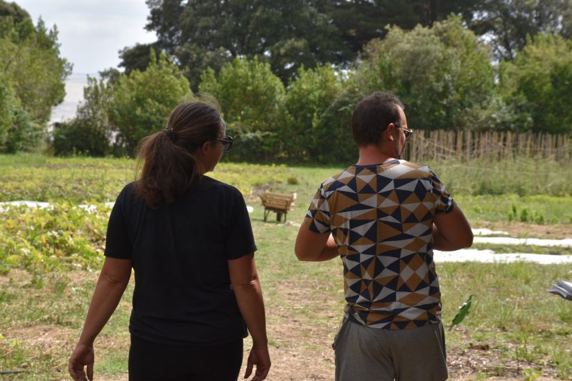 Maraîchage Ile d'aix