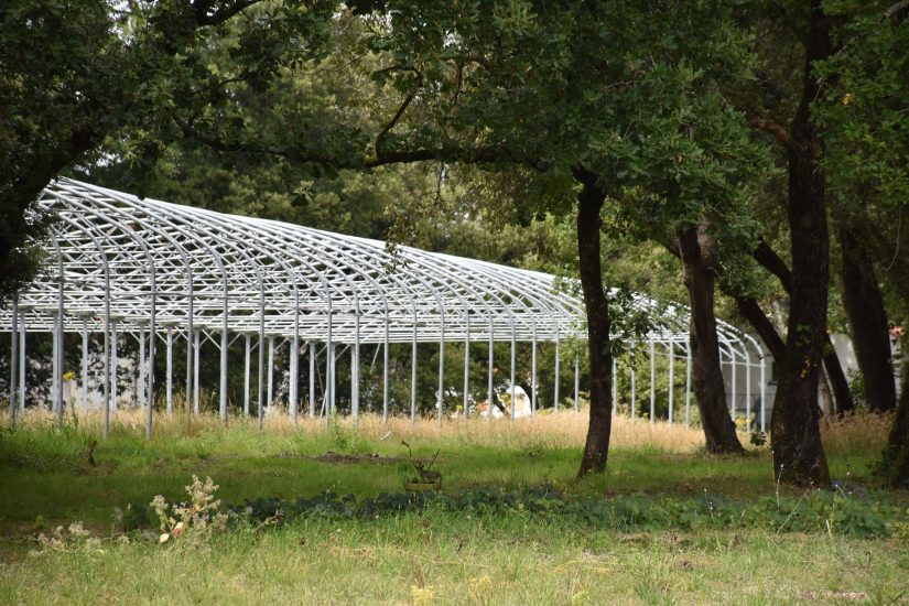 Maraîchage dans les îles, un défi 10
