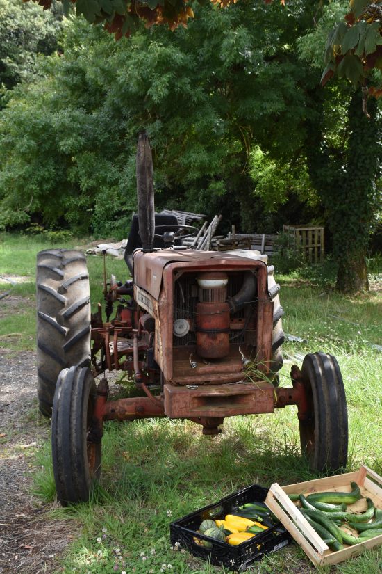 Franck, l'ostréiculteur de l'île d'Aix