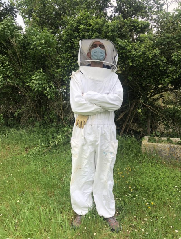 abeille noir apiculteur amateur