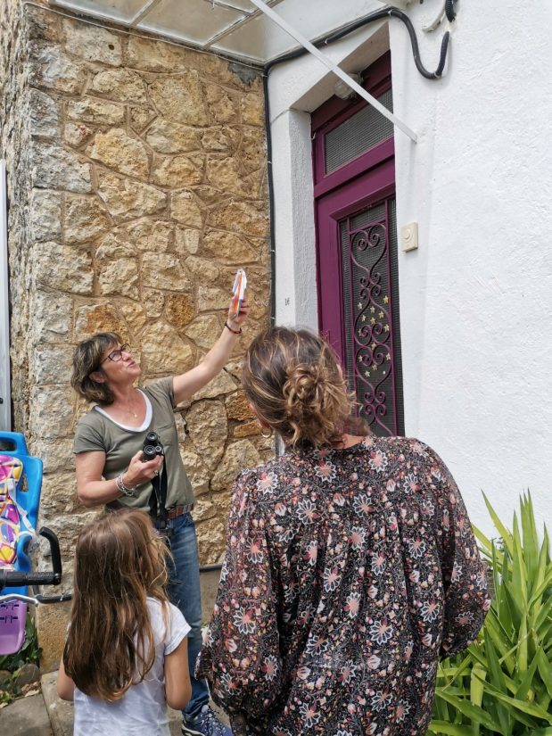 A la rescousse de l’abeille noire 2