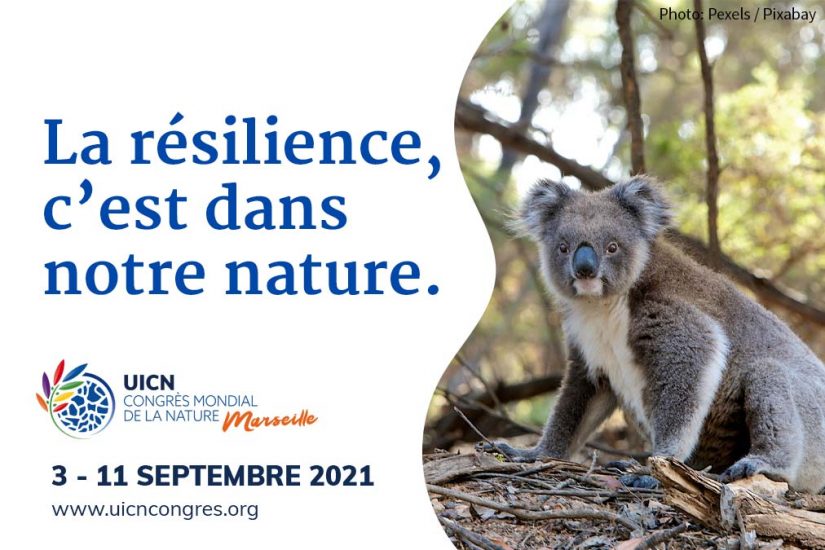 À Marseille, le monde au chevet de la la nature