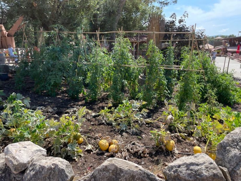 Le parc d’attractions écolo et familial 2
