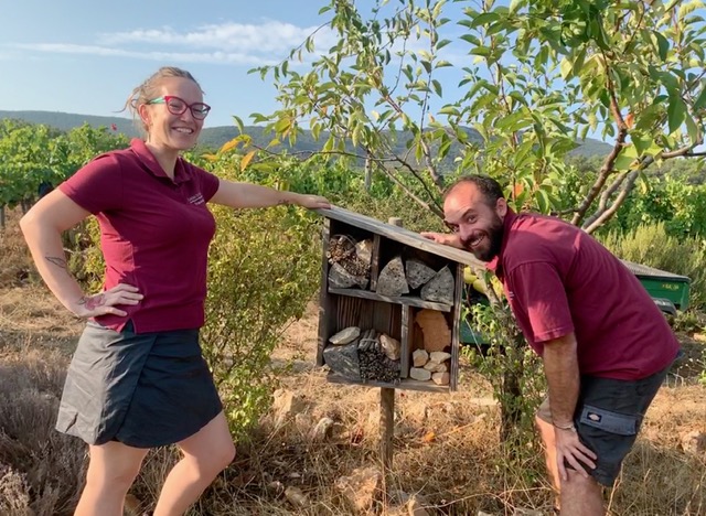 Duvivier, un modèle de viticulture durable 1