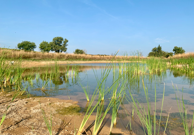 Duvivier, un modèle de viticulture durable 3