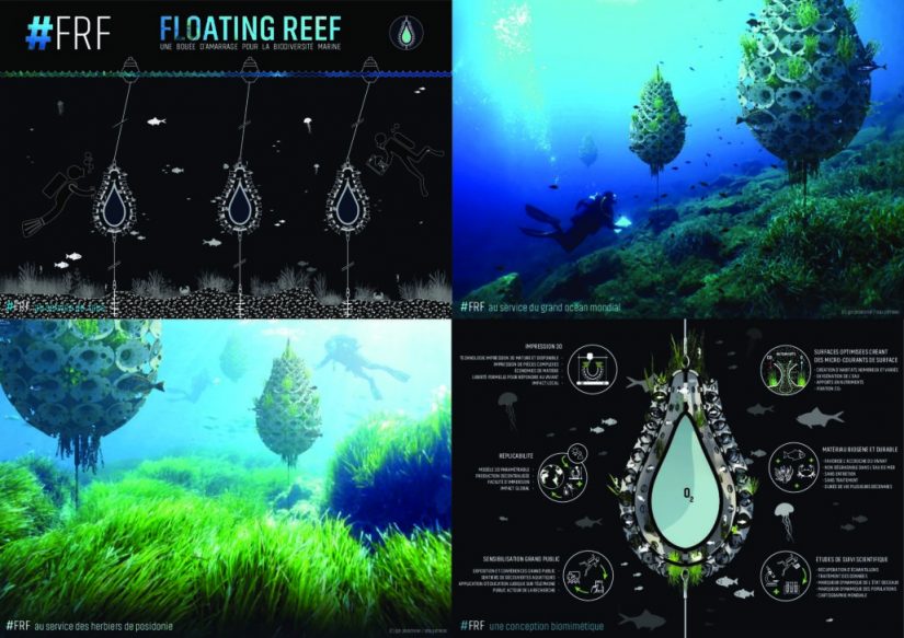 Pure Océan : une alliance généreuse au profit des océans 4