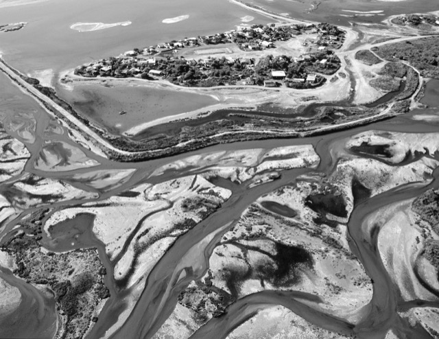 Le flamant rose, la nature et nous 2