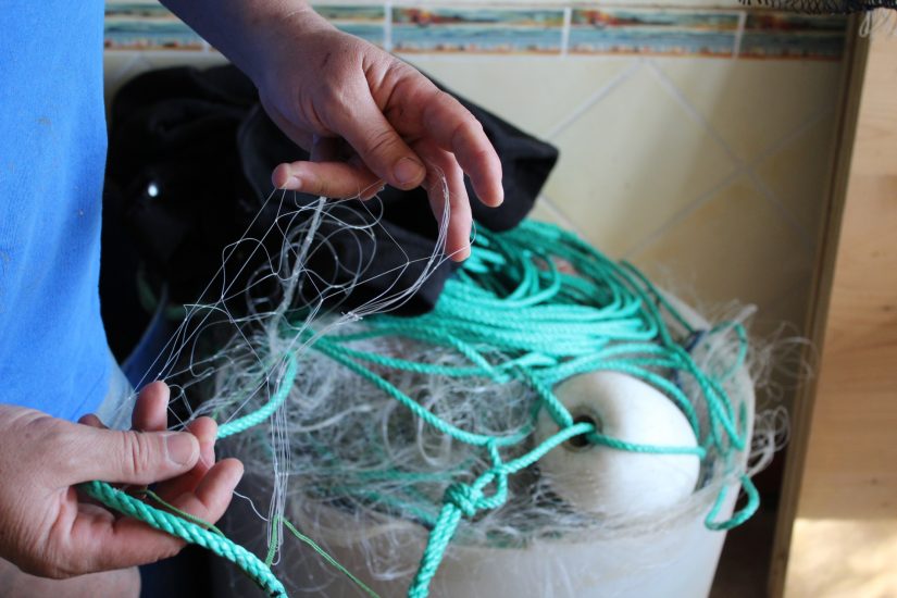 filets-mailles-grandes-preservation-biodiversite