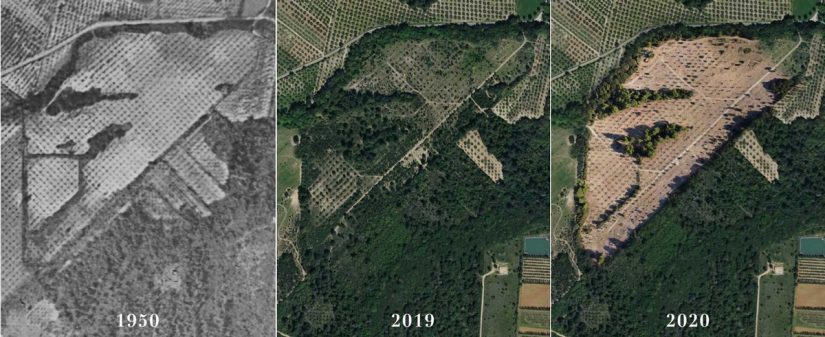 domaine-temps-perdu-alpilles