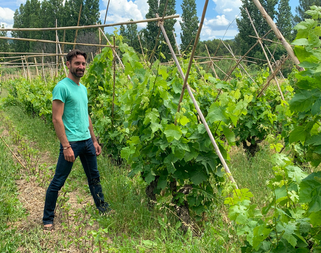 Julien Castell rêve d’un agroécosystème global 1