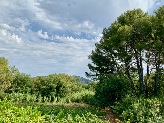 Julien Castell rêve d’un agroécosystème global 2