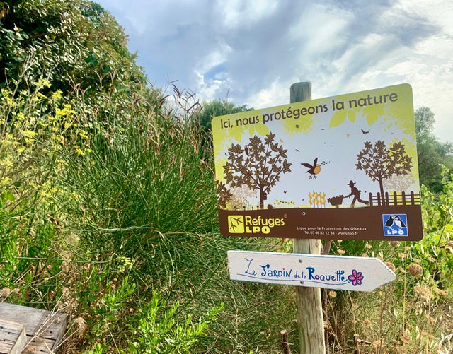 Julien Castell rêve d’un agroécosystème global 4