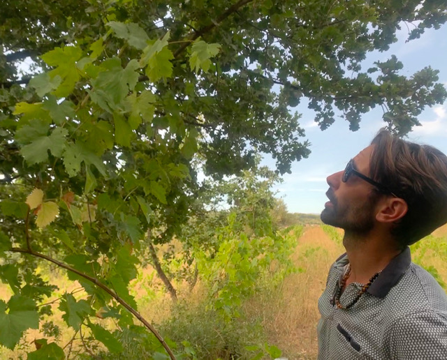 Julien Castell rêve d’un agroécosystème global 5