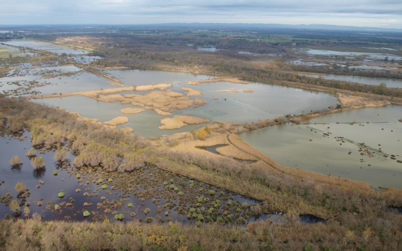 marais-vigueirat-camargue