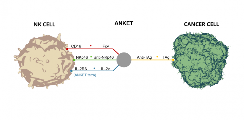 Une nouvelle stratégie prometteuse dans la guerre contre le cancer 1