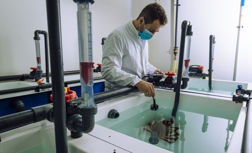 stella-mare-laboratoire-recherche-corse