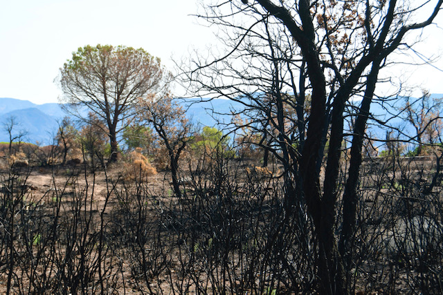 La Réserve naturelle des Maures en question et concertation 3