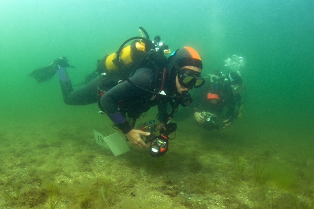 Le bassin de Thau, éden menacé des hippocampes (et des sciences participatives) 1