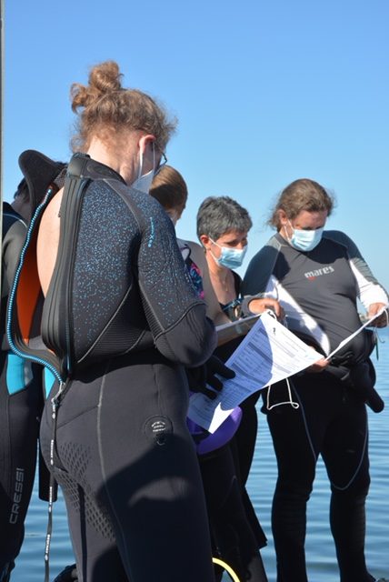 Le bassin de Thau, éden menacé des hippocampes (et des sciences participatives) 3