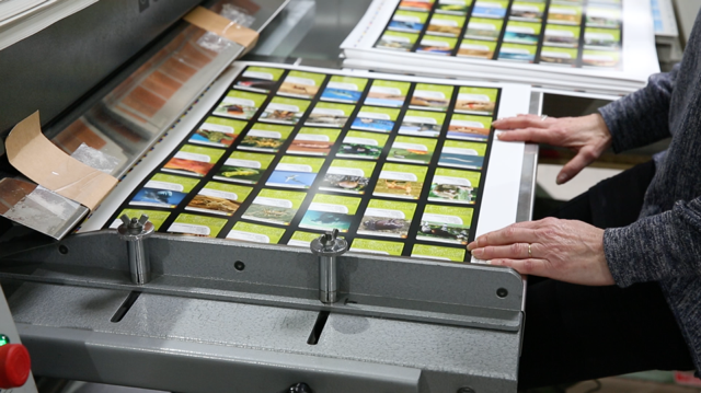 Bioviva, pionnier bien avant l’heure des jeux écolos 3