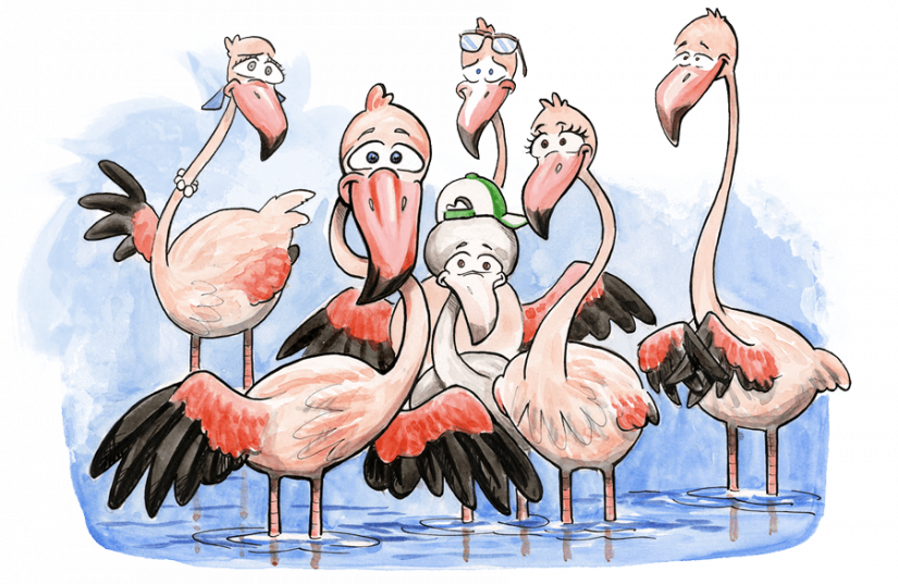 adopte-un-flamant-tour-valat