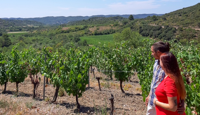 Une loi et un financement participatif pour aider les jeunes vignerons 3