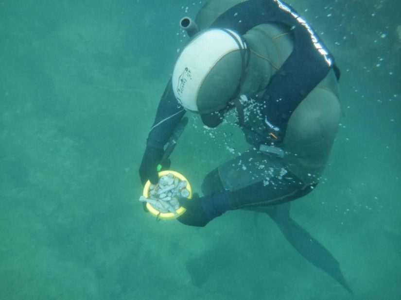 Plombs au fond de la mer