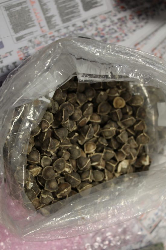 Des biotechnologies pour prouver les vertus médicinales des plantes 1